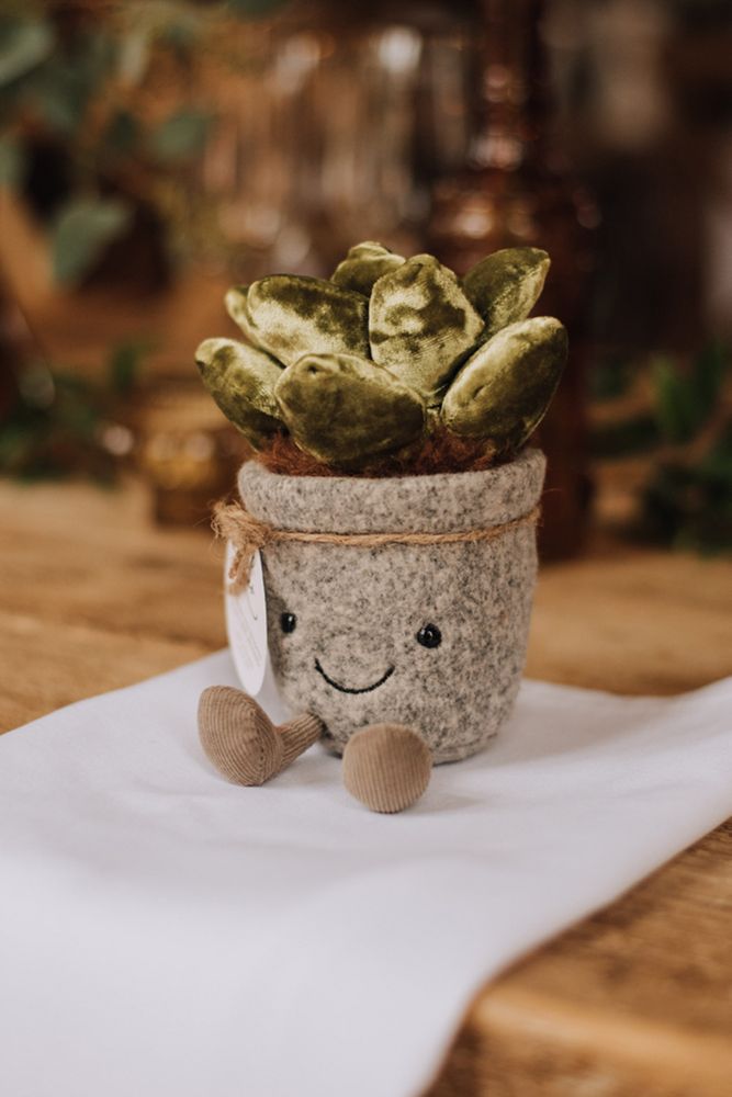 Cute teddy plant for wedding favours 