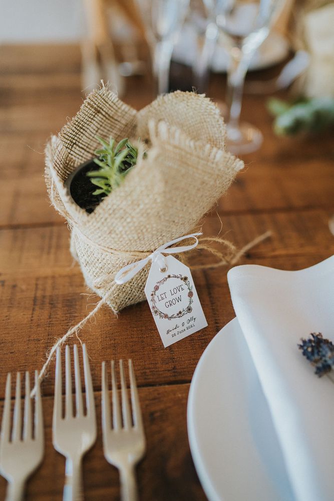 Handgrown succulent wedding favours with personal label 